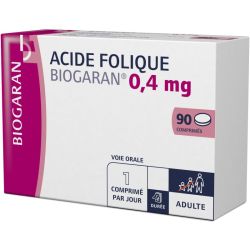 Acide Folique 0,4mg Biogaran Cpr 90