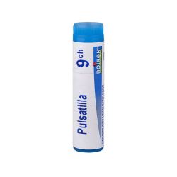 Pulsatilla dose 9CH