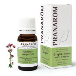 Pranarôm Origan à inflorescences compactes - 10ml