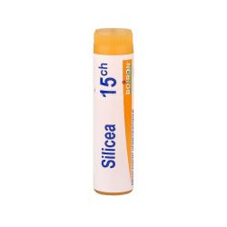Silicea dose 15CH