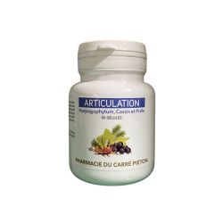 Carré Piéton Articulation - 90 Gélules