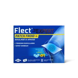 Flect'expert Patch Froid X5