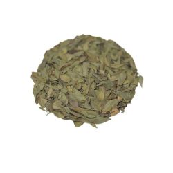 Globulaire Sachet 100g - Globularia alypum - Feuille entière