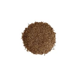 Cumin vrac sachet 100g - Cuminum cyminum - Fruit entier