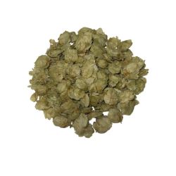 Houblon vrac sachet 100g - Humulus lupulus - Cône entier
