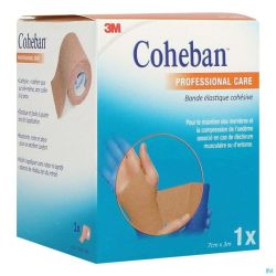 Cohéban™ bande cohésive 3 M X 7 Cm Chair