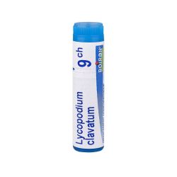 Lycopodium clavatum dose 9CH