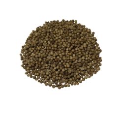 Coriandre vrac sachet 100g - Coriandrum sativum - Fruit entier