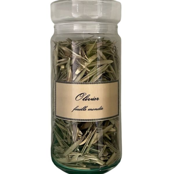 Olivier vrac sachet 100g - Olea europaea L. - Feuille entière