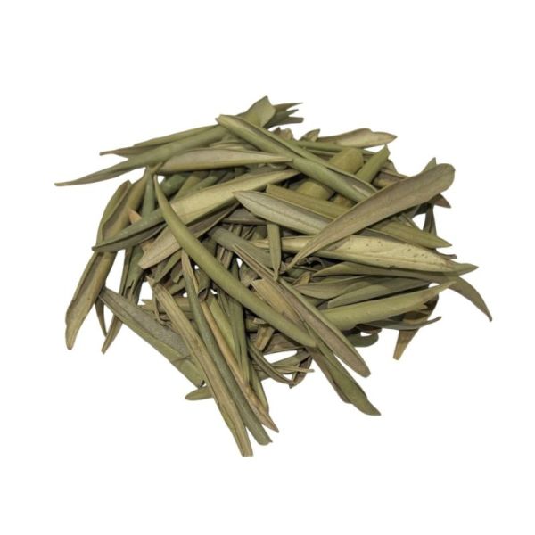 Olivier vrac sachet 100g - Olea europaea L. - Feuille entière