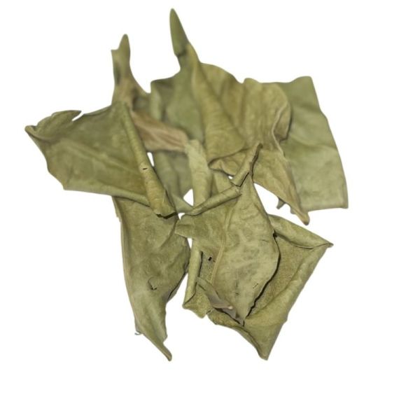 Oranger Bigaradier vrac sachet 100g - Citrus aurantium - Feuille entière