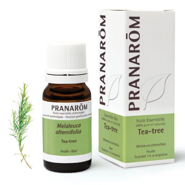 Pranarôm Huile Essentielle de Tea-tree - 10ml