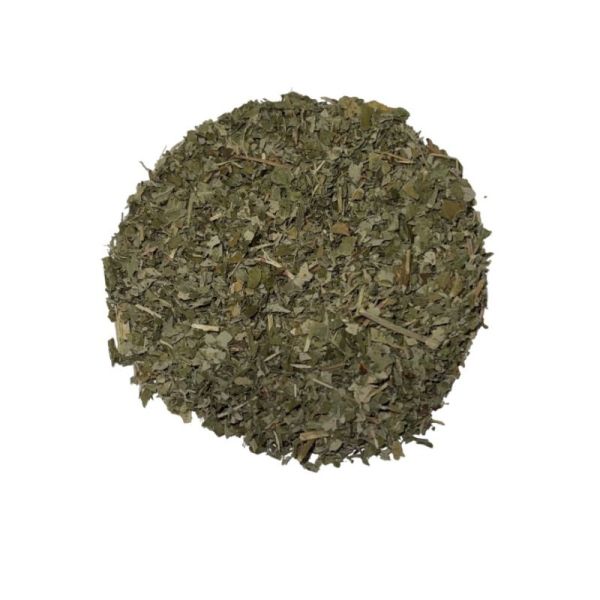 Ronce Sachet 100g - Rubus fruticosus - Feuille coupée
