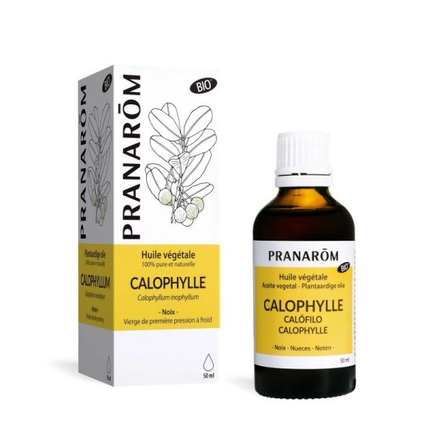 Pranarôm Huile Végétale de Calophylle - Bio - 50ml