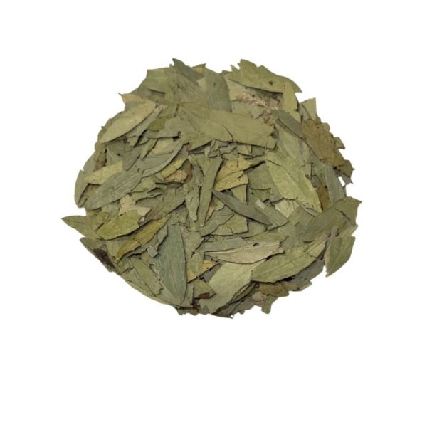 Séné Sachet 100g - Cassia senna/Cassia angustifolia - Foliole entière