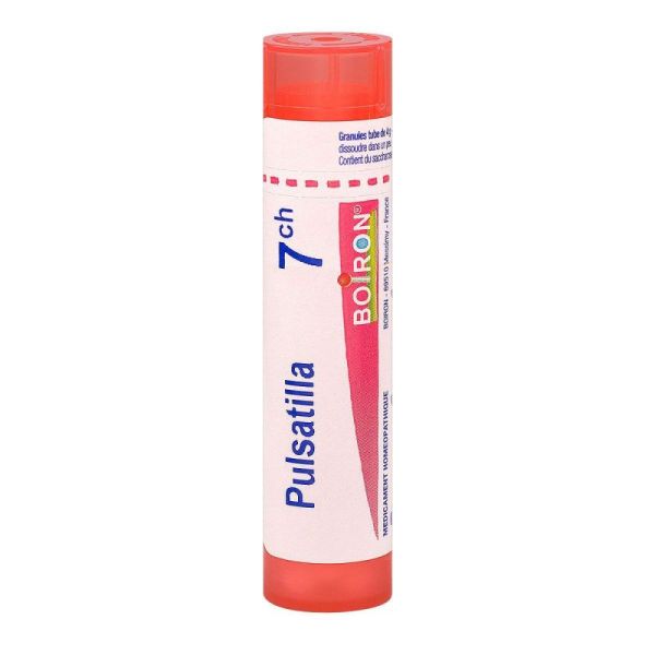 Pulsatilla tube granules 7CH