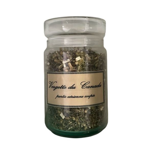 Vergerette Du Canada vrac sachet 100g - Erigeron canadensis - plante coupée