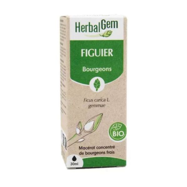 Herbalgem Figuier -  Bio - 30ml