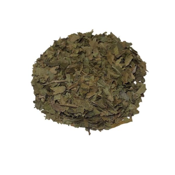 Noyer vrac sachet 100g - Juglans regia - Feuille coupée