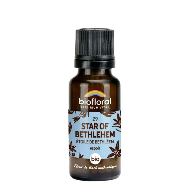 Biofloral Flb 29 Star of Bethlehem, Étoile de Bethléem - Bio - Granules