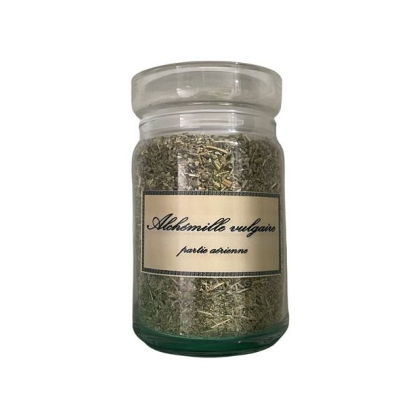 Alchémille vulgaire vrac sachet 100g - Alchemilla vulgaris - Partie aérienne