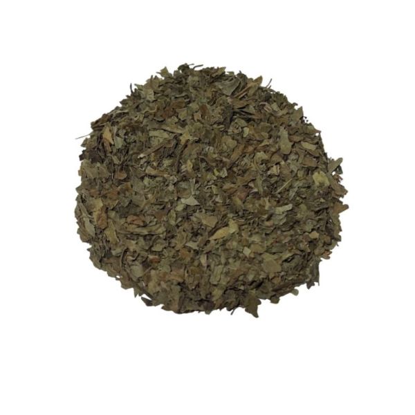 Orthosiphon vrac sachet 100g - Orthosiphon stamineus - Tige coupée