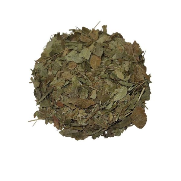 Airelle (myrtille) vrac sachet 100g - Vaccinium myrtillus - feuilles