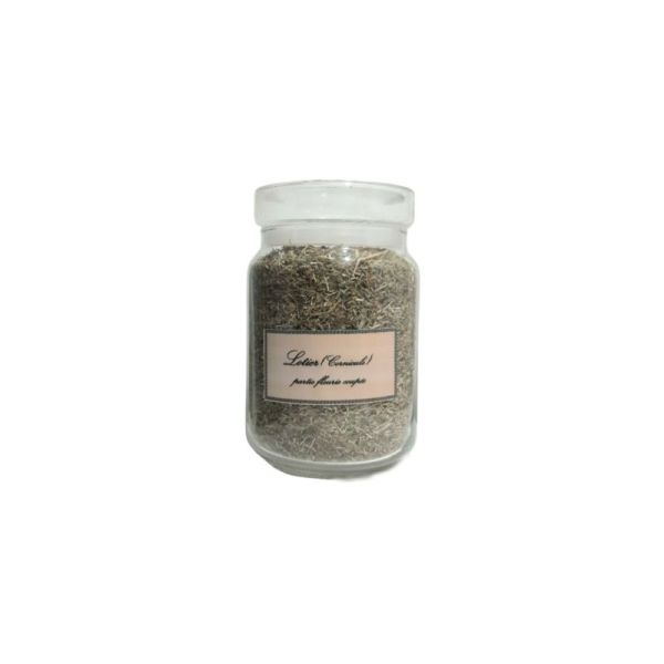 Lotier cornicule Sachet 100g - Lotus corniculatus - Plante coupée