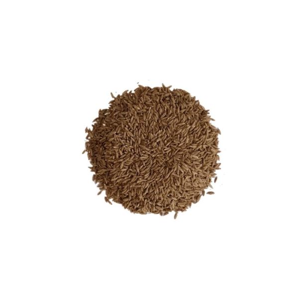 Cumin vrac sachet 100g - Cuminum cyminum - Fruit entier