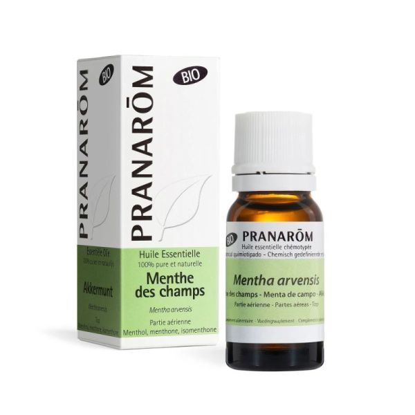 Pranarôm Huile Essentielle de Menthe des champs - Bio - 10ml