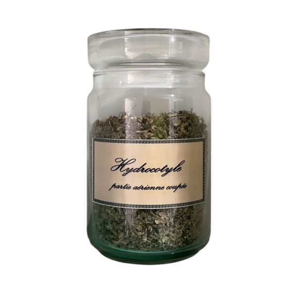 Hydrocotyle vrac sachet 100g - Centella asiatica - Plante coupée