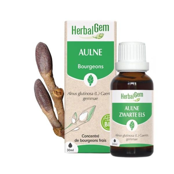 Herbalgem Aulne - Bio - 30ml