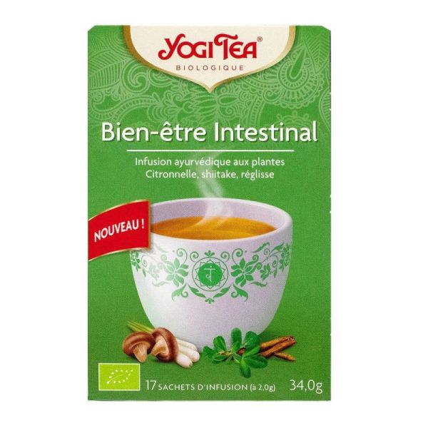 Bien-être intestinal tisane Ayurvédique 17 sachets