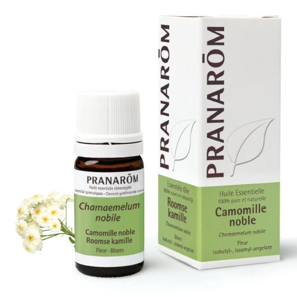 Pranarôm Huile essentielle Camomille noble - 5ml