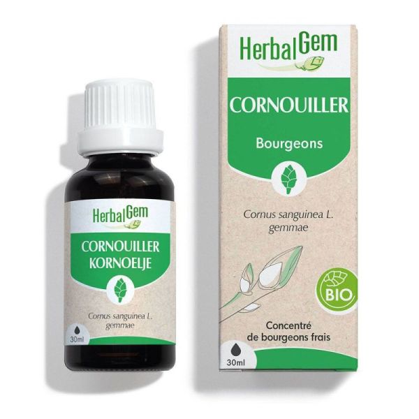 Herbalgem Cornouiller  - Bio - 30ml