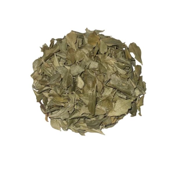 Buchu vrac sachet 100g - Barosma betulina - Feuille entière