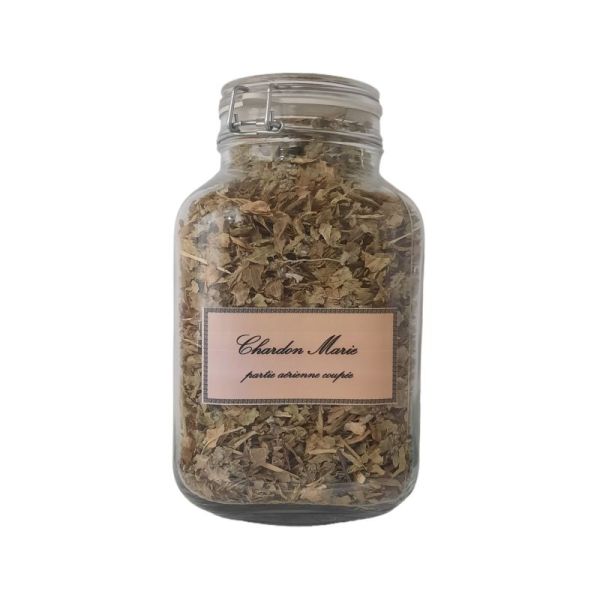 Chardon Marie Sachet 100g - Silybum marianum - Plante coupée