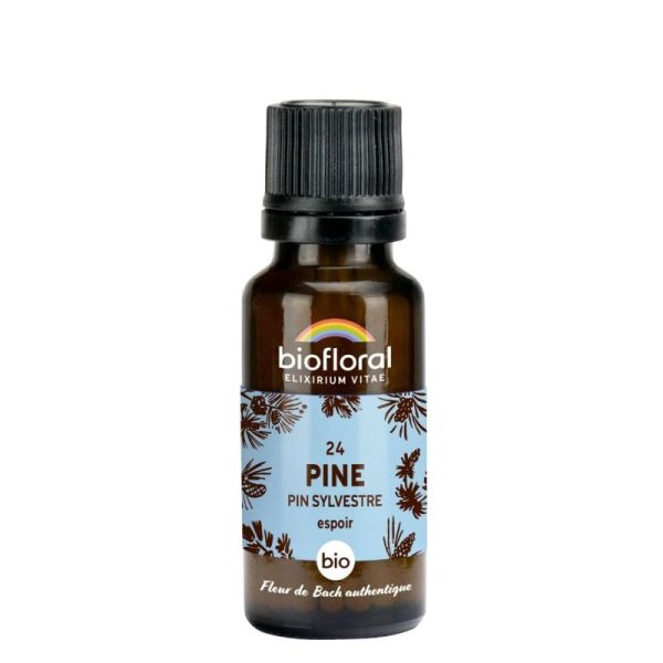 Biofloral Flb 24 Pin Sylvestre - Bio - Granules