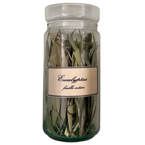 Eucalyptus vrac sachet 100g - Eucalyptus globulus Labill - Feuille entière